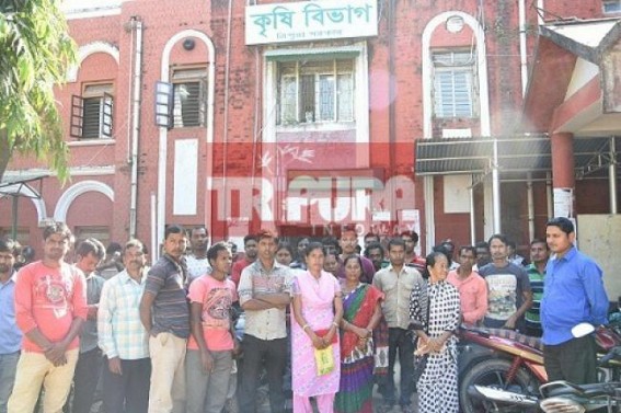 Agriculture Director denies to meet Irregular staffs, who are striving for being regularized Agriculture Director denies to meet Irregular staffs, who are striving for being regularized